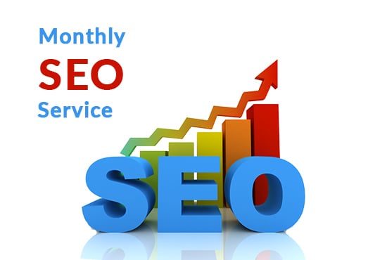I will Provide Monthly SEO Service.