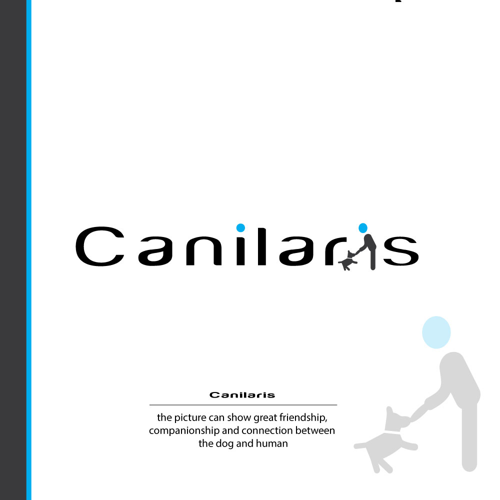 I will provide professional logo design services