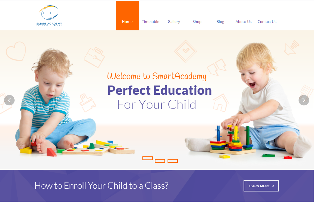 I will build LMS reponsive wordpress website 