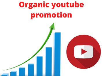 I will do organic youtube video promotion to unlimited audiences