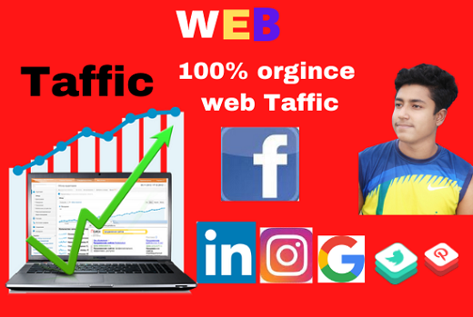  I will send organic targeted web traffic 