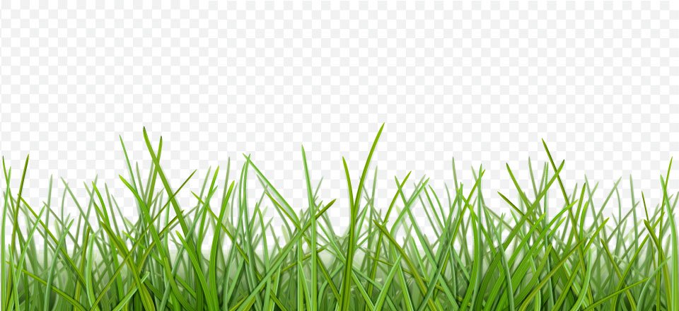 I will do background removal to your photos