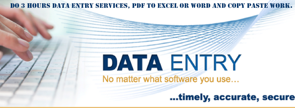 I will do 2 hours data entry services, pdf to excel or word and copy paste work