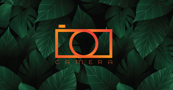 I will design eye catchy logo for you 