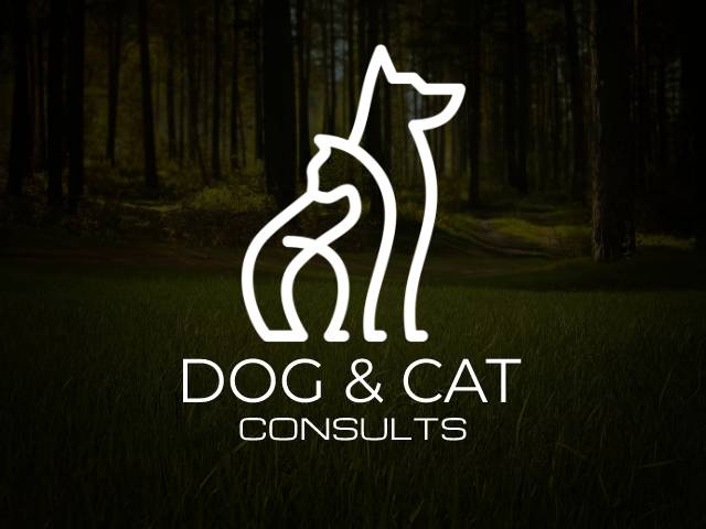 I will do minimalist logo design