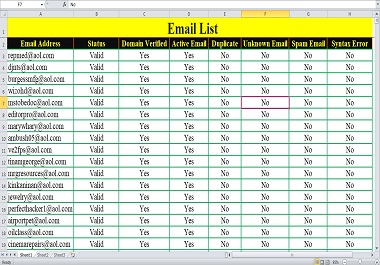 10,000 USA Niche targeted verified Email List for Email Marketing