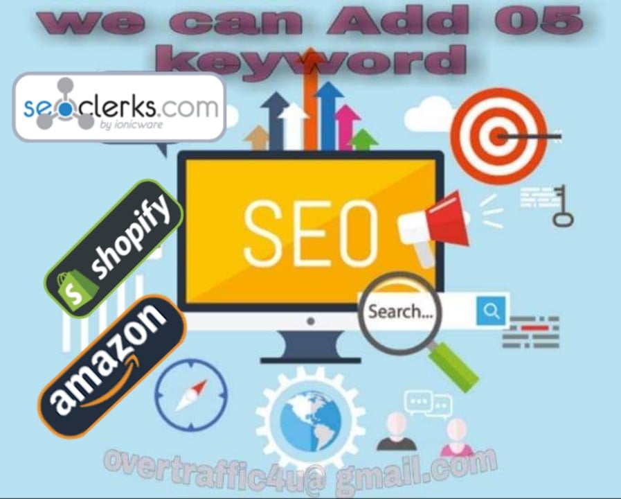 High quality Traffic 600-700 per day for one month.