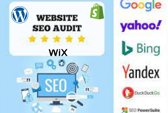 I will do full seo audit report for your website and give tips