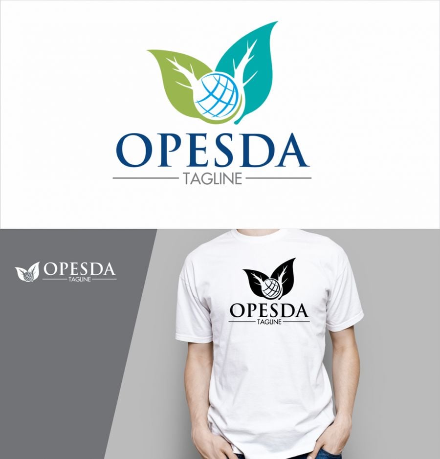 I will design or redesign your logo