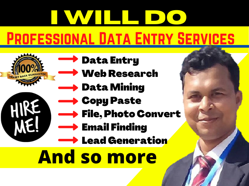 I will do data entry web research copy past data mining scraping
