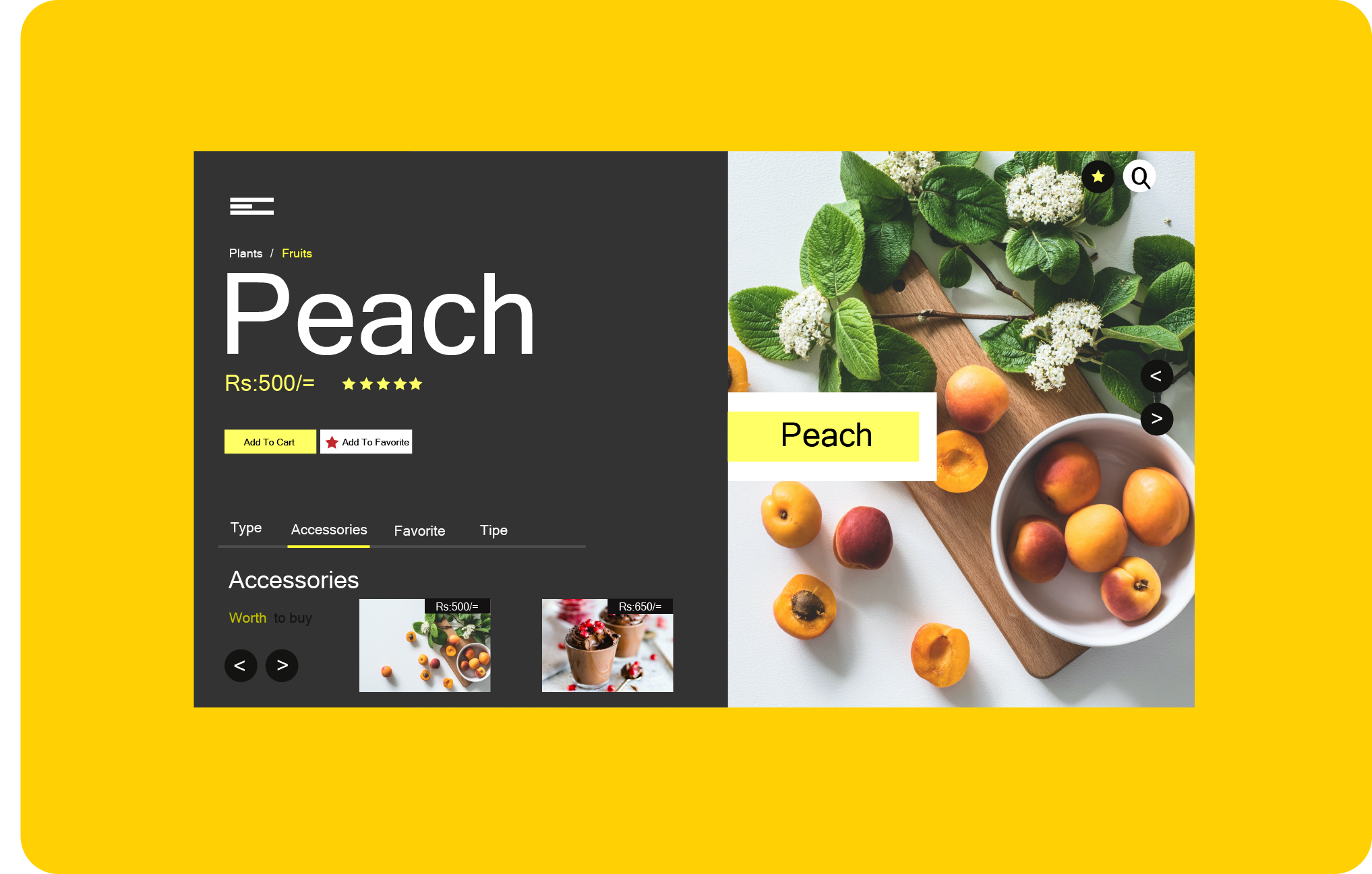 I will design custom web page and landing page in 24hours with html, css and javascript