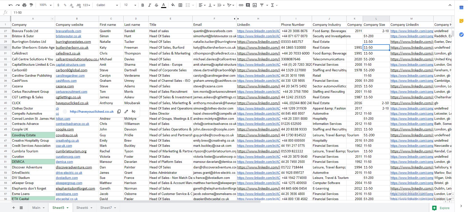 I will do b2b lead generation and contact list building 