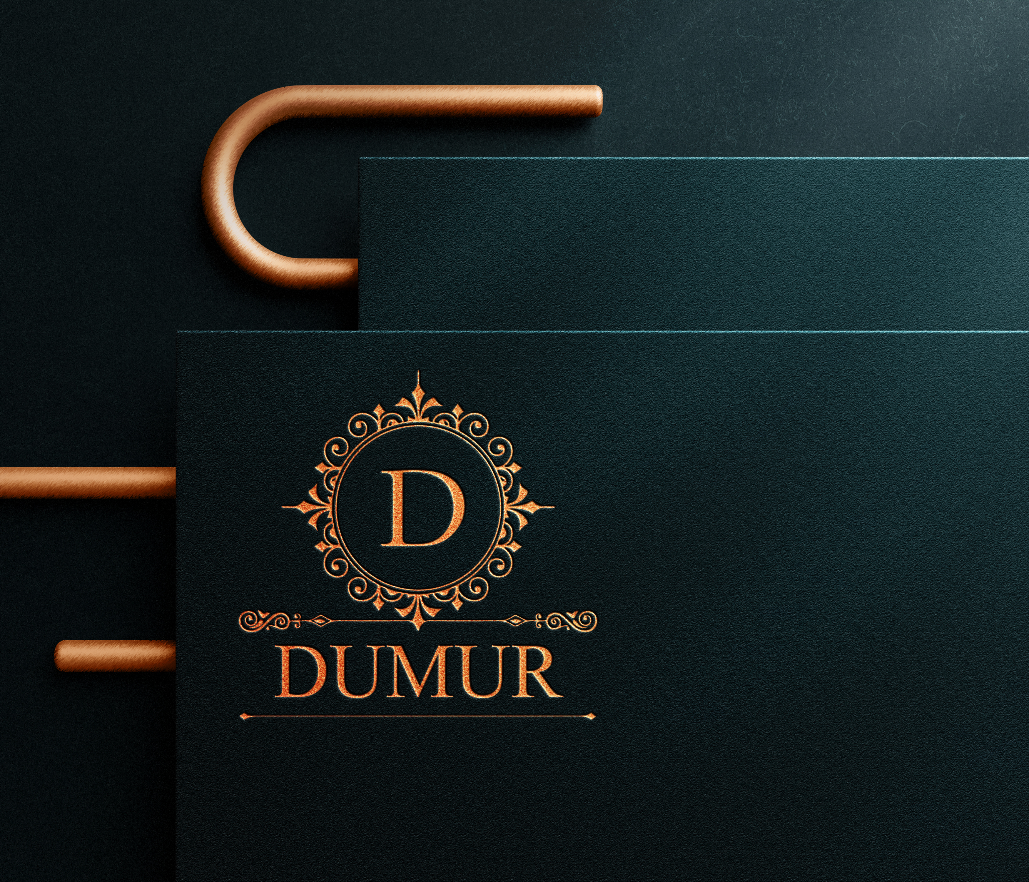 I will do creative professional logo design with free revision