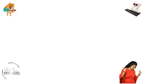 Providing world best organic music promotion services to viral music