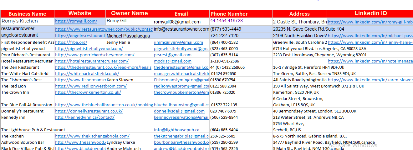 I will provide 100 leads, leads generation for you