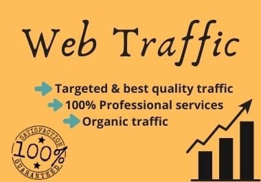I will drive Keyword Targeted Organic Google Web Traffic to your website.