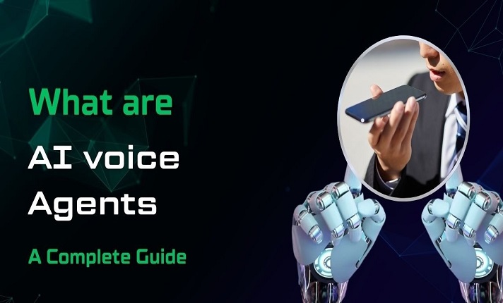 I will build AI voice and calling agent for your business, app or website