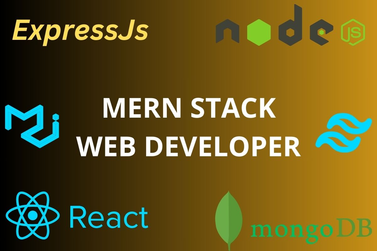 I will develop custom web application using mern stack, react js, nodejs