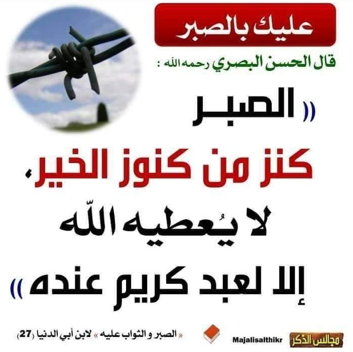 TRANSLATOR (AR - EN) & for quality Ar- EN transl..