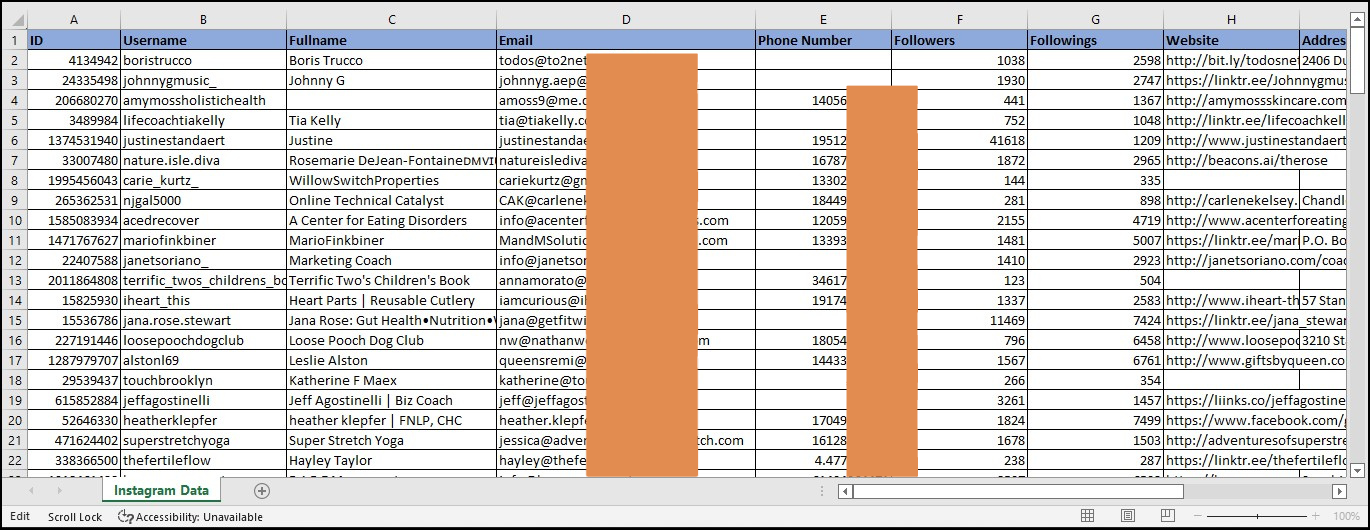 You will get high quality leads on instagram for your business