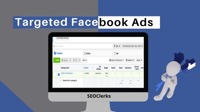 I will create, optimize and manage Facebook Instagram business ads campaign