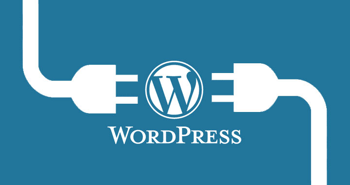I will install wordpress with theme and plugins in 12 hours