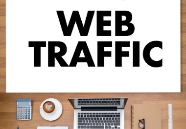 3 days Unlimited Human Traffic by Google, Twitter, Youtube and more to web site 