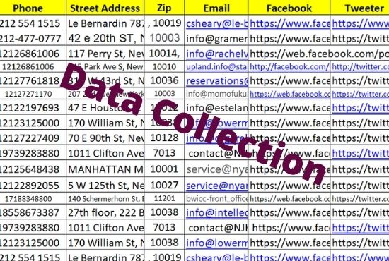 I will be your virtual assistant for professional and personal works