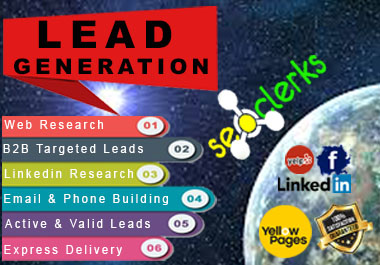 I will provide b2b lead generation web scraping with the email list