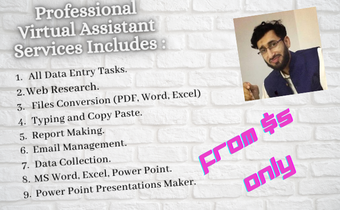 I will be your virtual assistant for file conversion, data entry or any other work