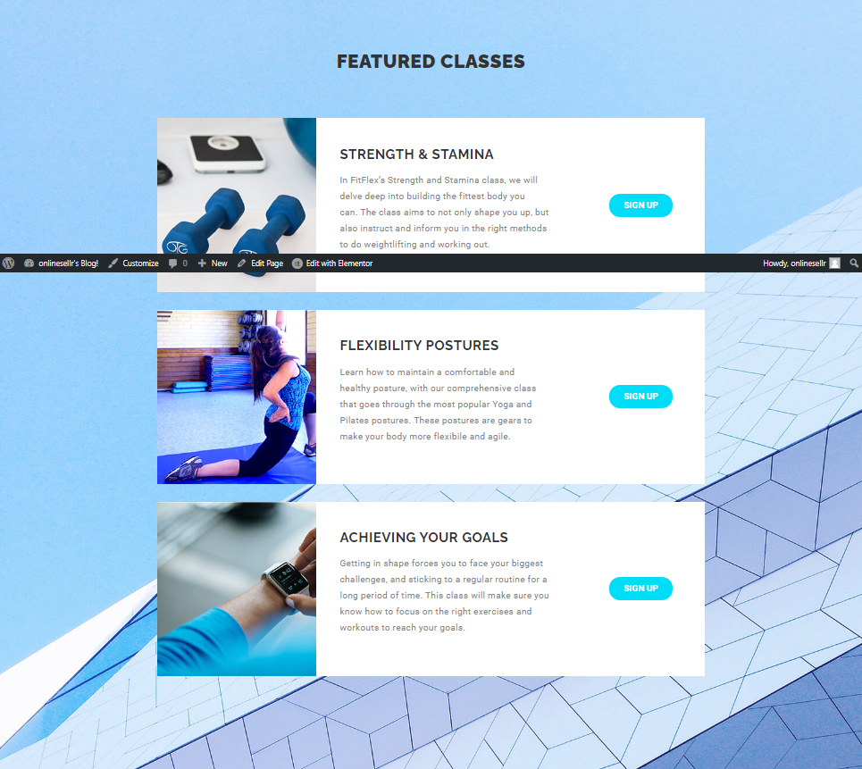 I will create professional business wordpress website...