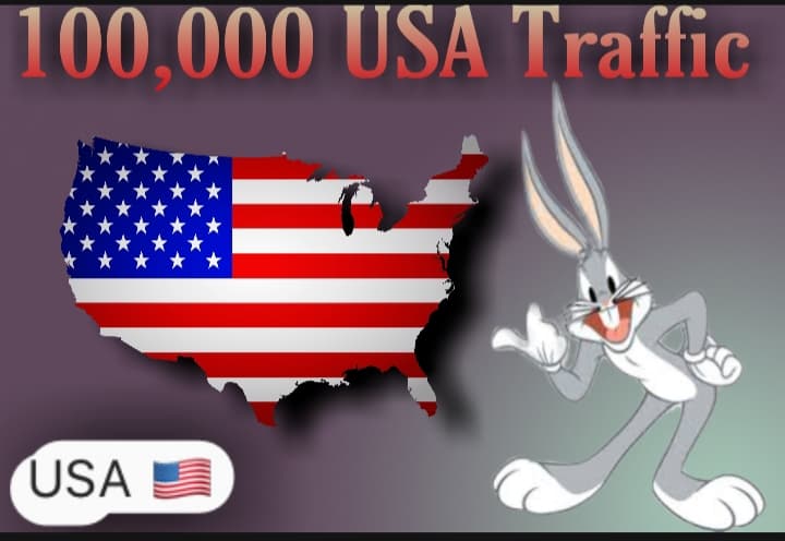 i will send 100,000 USA Target Traffic 