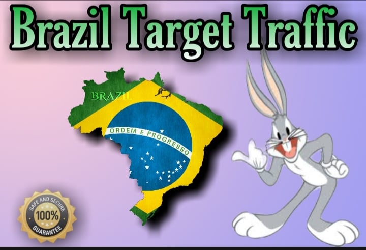 1600 BRAZIL TARGETED traffic to your website or blog-...