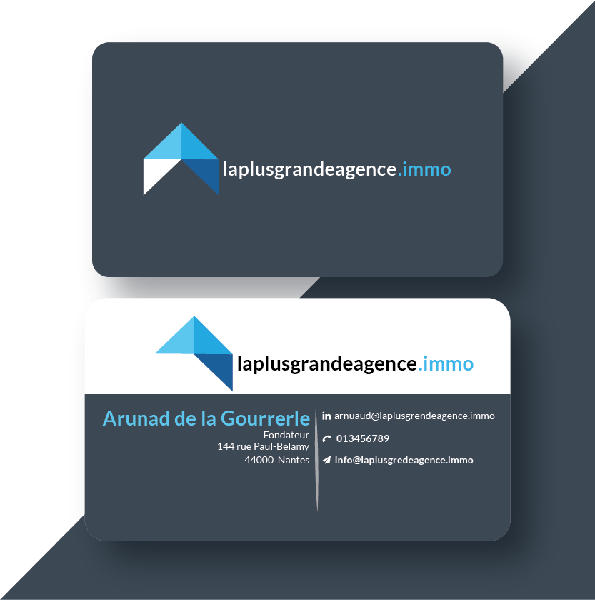  I will make business card and logo design 