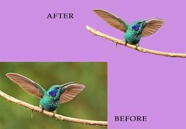 I will remove background picture of a certain subject or product