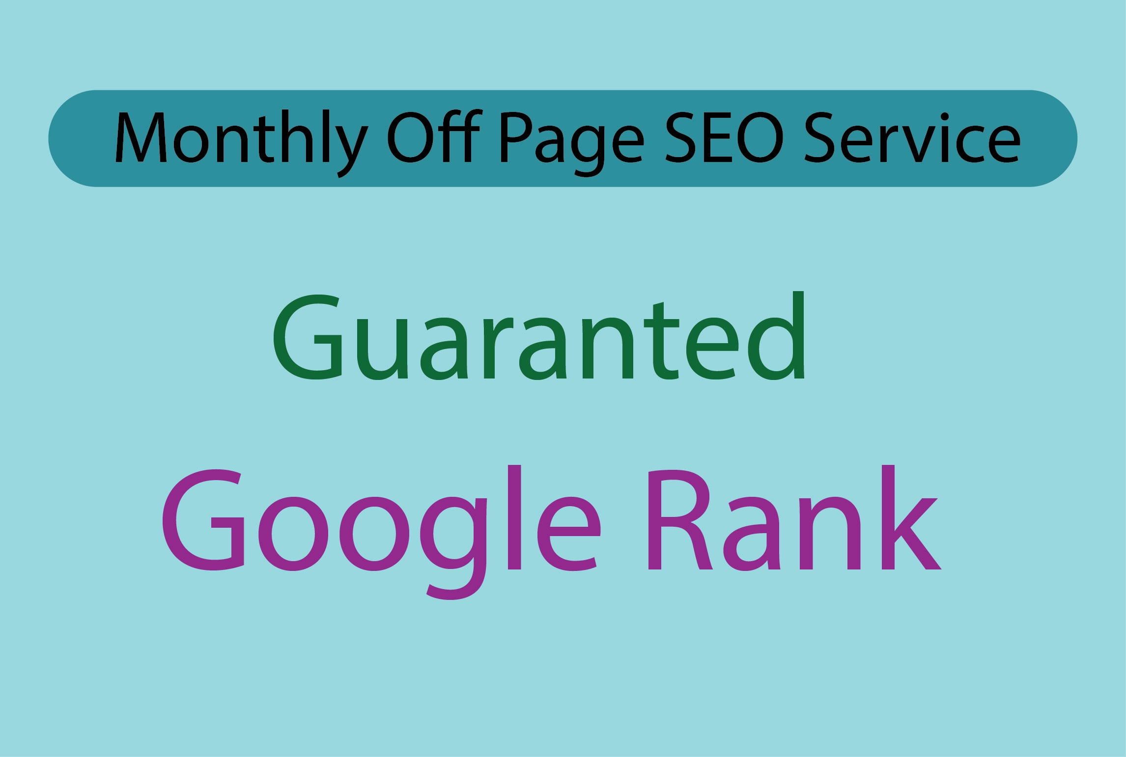 I will Provide monthly complete SEO service for your website ranking