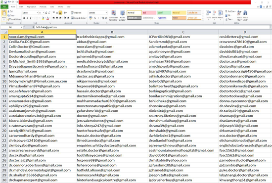 collect targeted email list for any niche,b2c, b2b,country in 24 hours