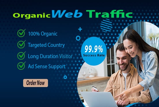 I will drive targeted real organic USA web traffic go...