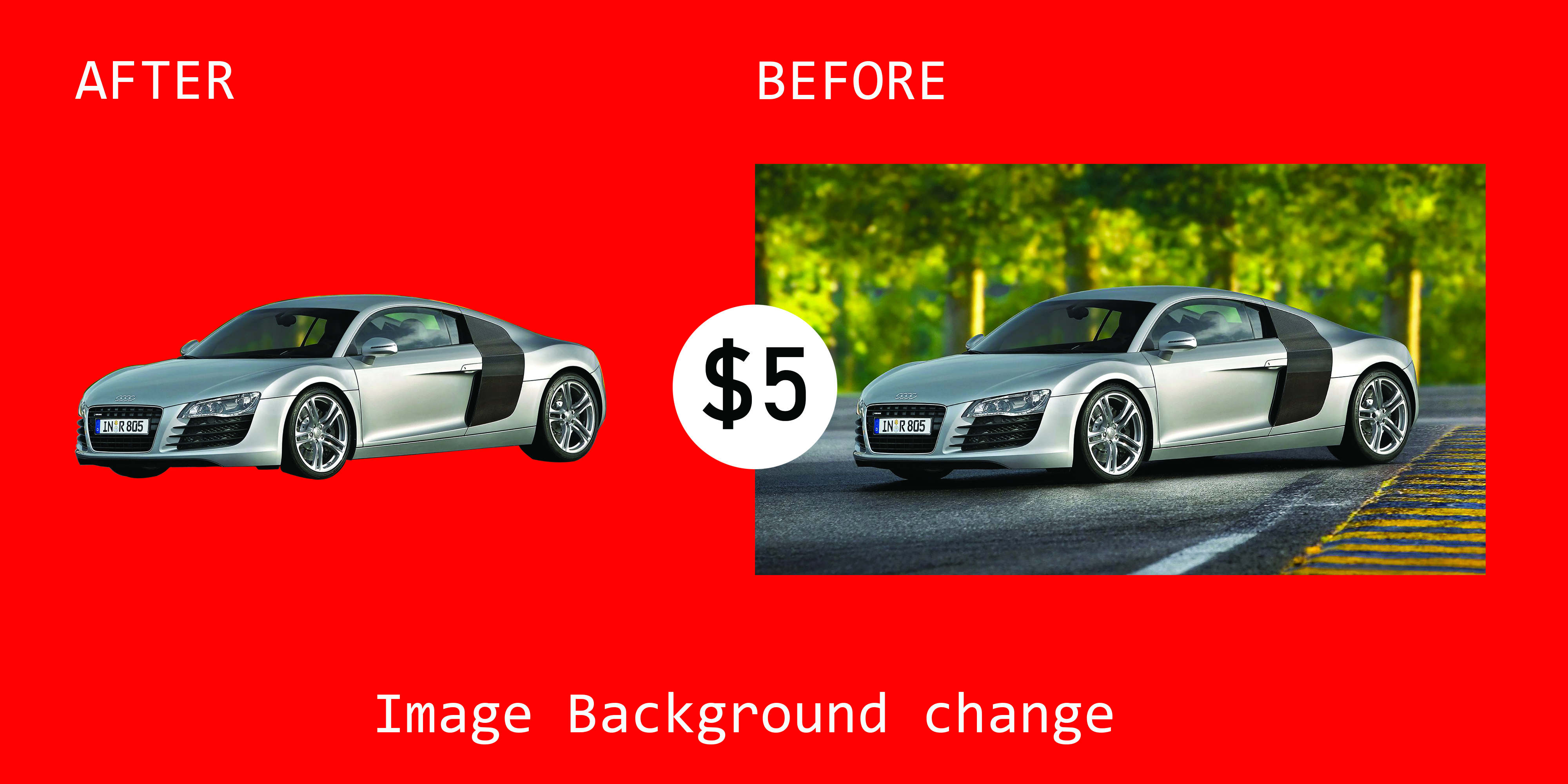 High quality Image background remove 