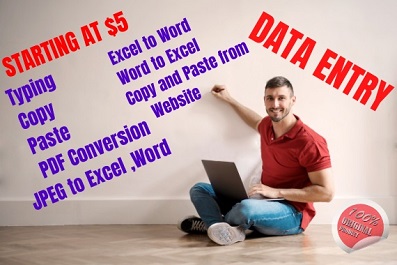 I will do data entry ,web research , excel data entry and copy paste 
