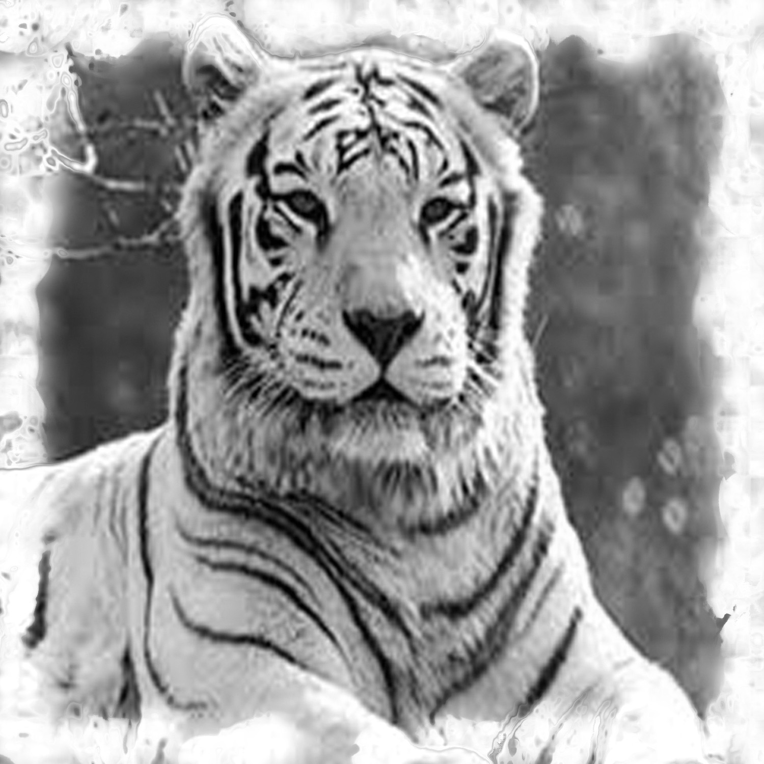 I will create an authentic and detailed photoshop designs