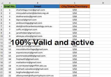 I Will Provide You 2000 Verified USA Email List with clean format