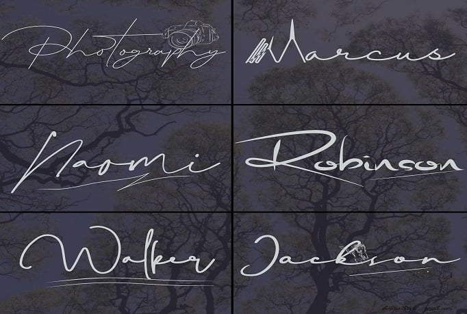 I will do standard and unique signature logo design 