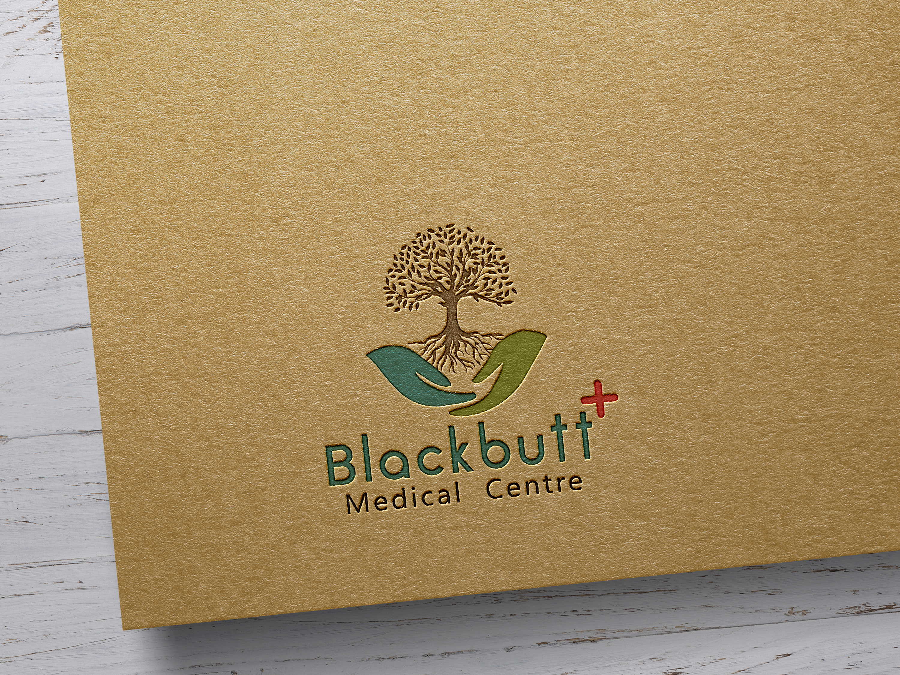 I am a Graphic Designer i will do professional logo for you 