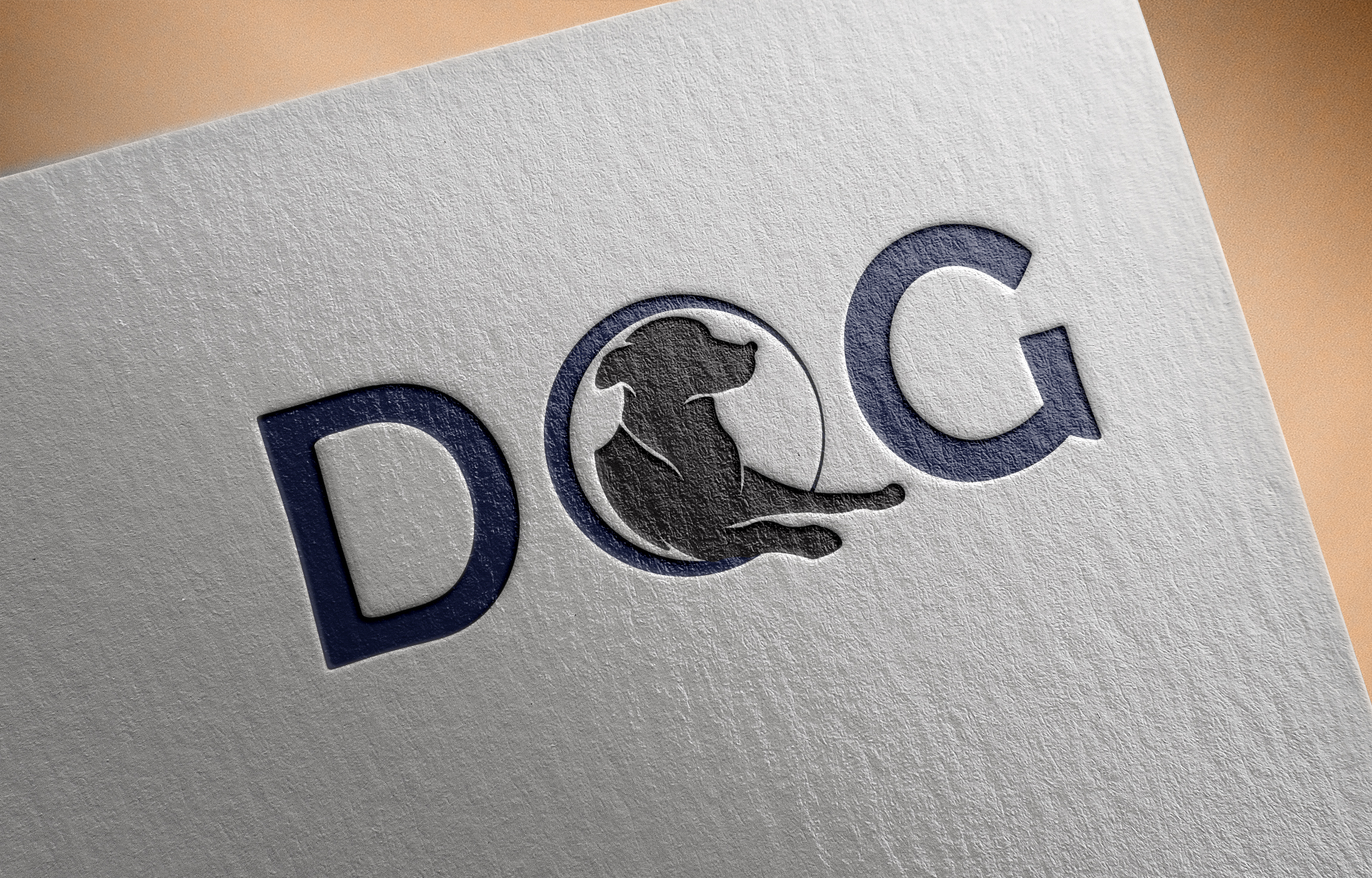 I am a Graphic Designer i will do professional logo for you 