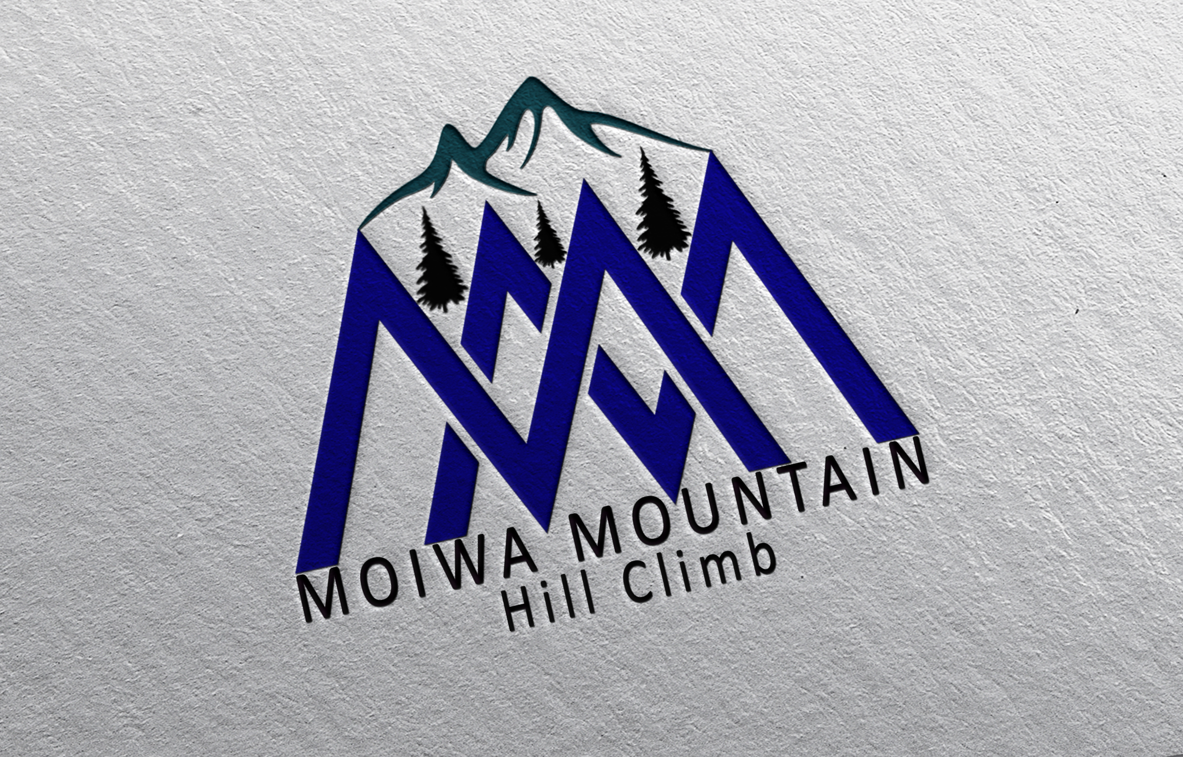 I will make a logo design within 24 hours