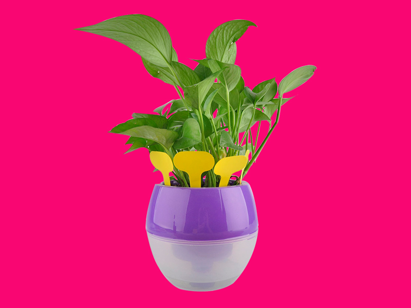 I will do image Background remove