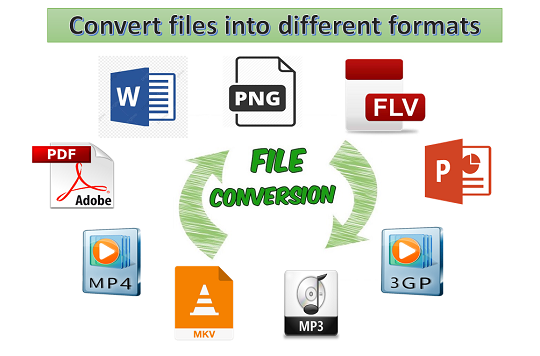 I will do any kind of data entry work of your business PDF to Word File