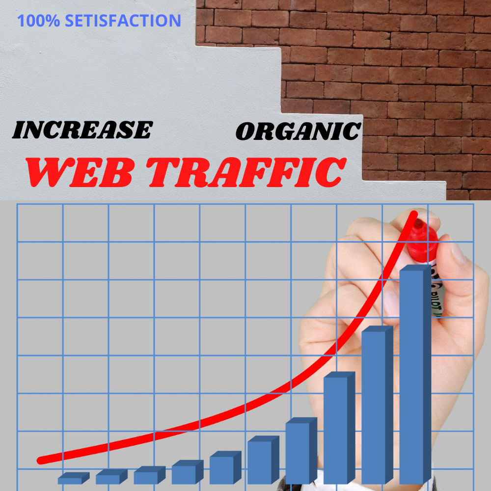 I will bring real visitors and targeted WEB TRAFFIC