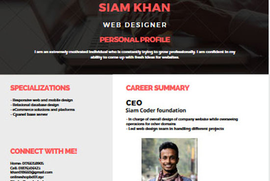 Professional Wordpress customization and website build service